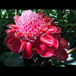 Meet your Posher, Roseann